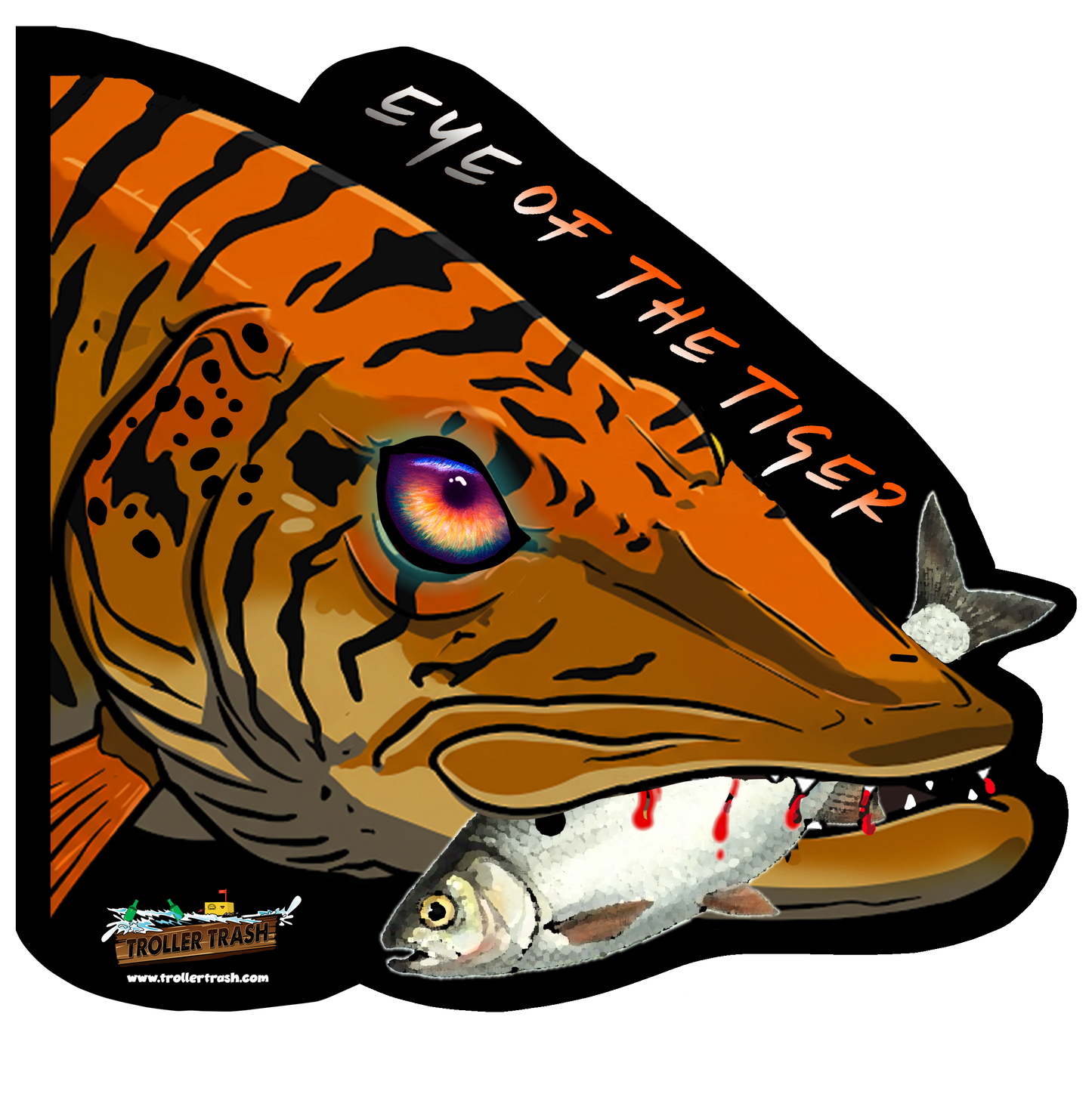 Rocky Collection Eye of the Tiger Sticker