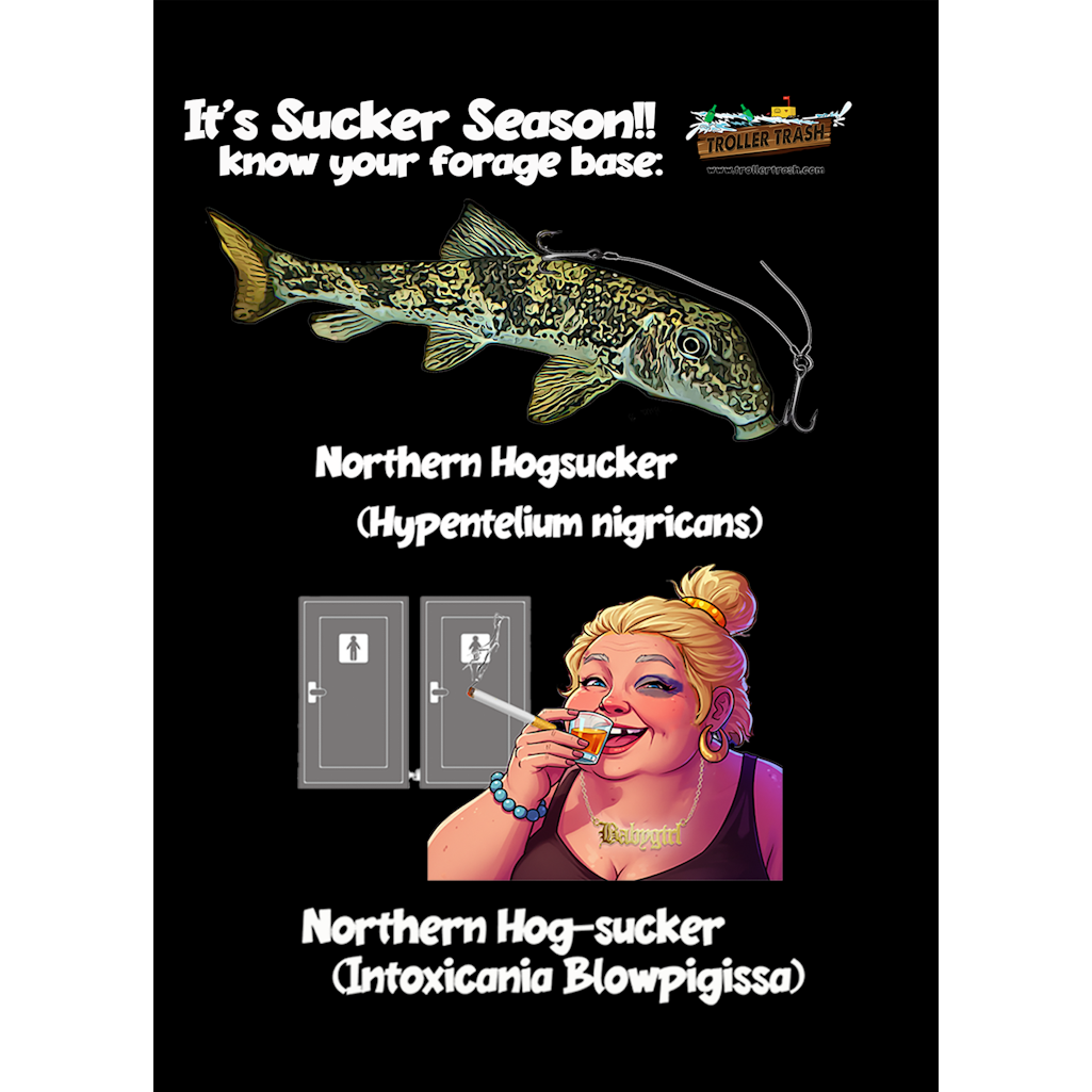 SUCKER-SEASON